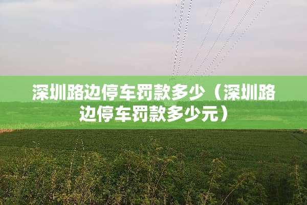 深圳路边停车罚款多少（深圳路边停车罚款多少元）