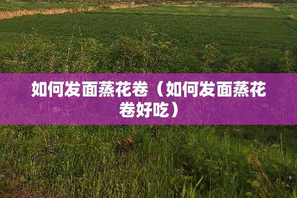 如何发面蒸花卷（如何发面蒸花卷好吃）