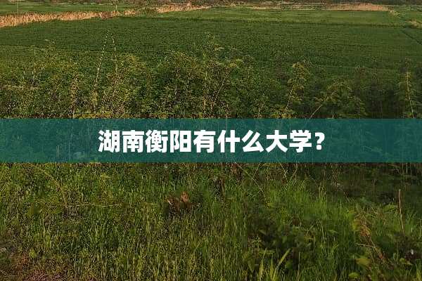湖南衡阳有什么大学？