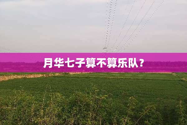 月华七子算不算乐队？