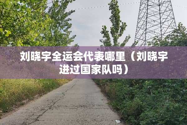 刘晓宇全运会代表哪里（刘晓宇进过国家队吗）