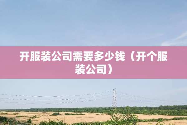 开服装公司需要多少钱（开个服装公司）