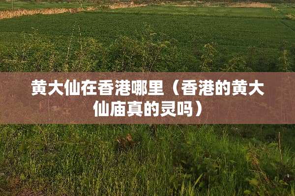 黄大仙在香港哪里（香港的黄大仙庙真的灵吗）