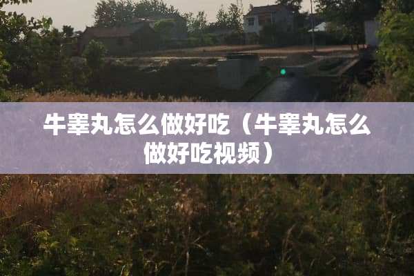 牛**怎么做好吃（牛**怎么做好吃视频）