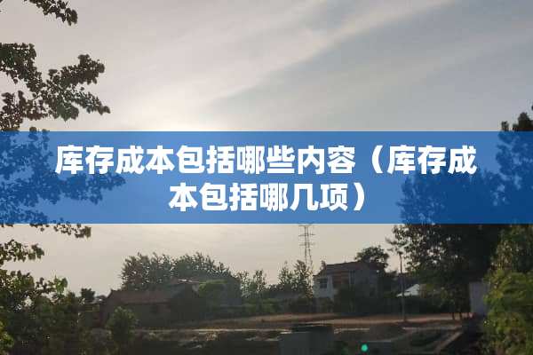库存成本包括哪些内容（库存成本包括哪几项）