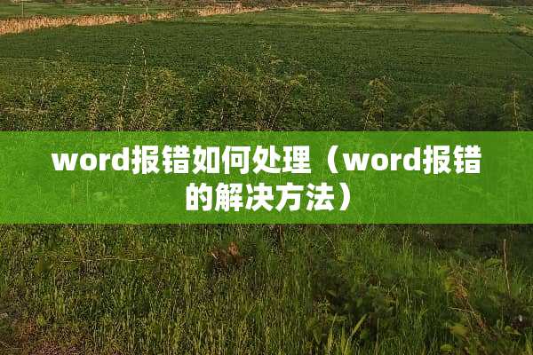 word报错如何处理（word报错的解决方法）