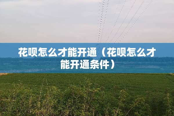 花呗怎么才能开通（花呗怎么才能开通条件）