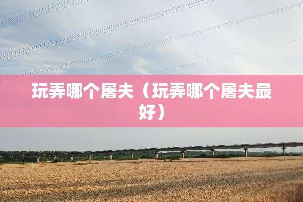 玩弄哪个屠夫（玩弄哪个屠夫最好）