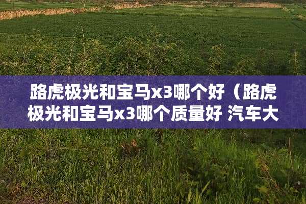 路虎极光和宝马x3哪个好（路虎极光和宝马x3哪个质量好 汽车大师）