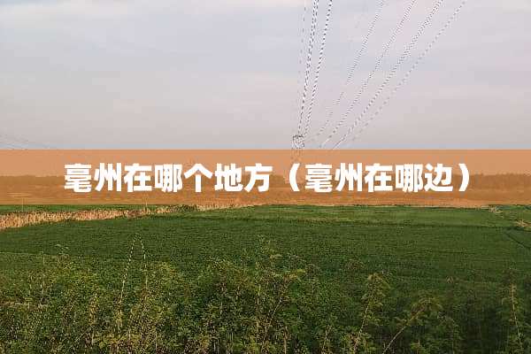 毫州在哪个地方（毫州在哪边）