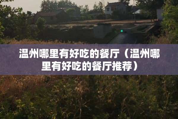 温州哪里有好吃的餐厅（温州哪里有好吃的餐厅推荐）