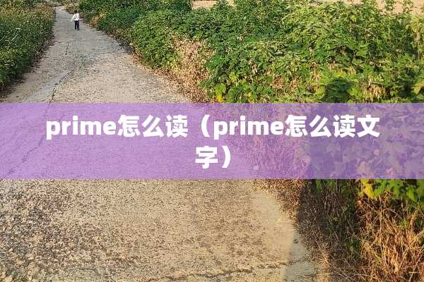 prime怎么读（prime怎么读文字）