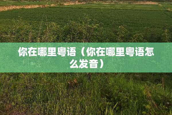 你在哪里粤语（你在哪里粤语怎么发音）