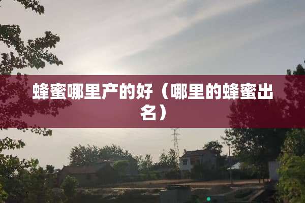 蜂蜜哪里产的好（哪里的蜂蜜出名）