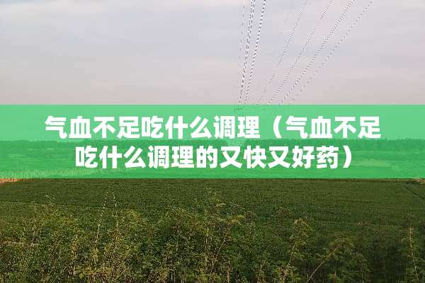 气血不足吃什么调理（气血不足吃什么调理的又快又好药）