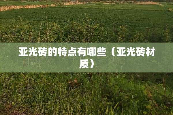 亚光砖的特点有哪些（亚光砖材质）