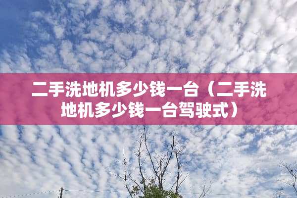 二手洗地机多少钱一台（二手洗地机多少钱一台驾驶式）