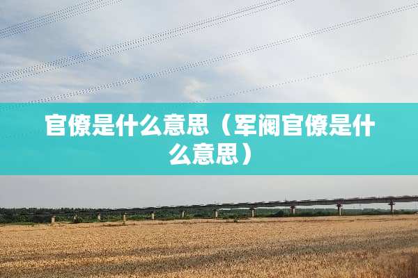 官僚是什么意思（军阀官僚是什么意思）