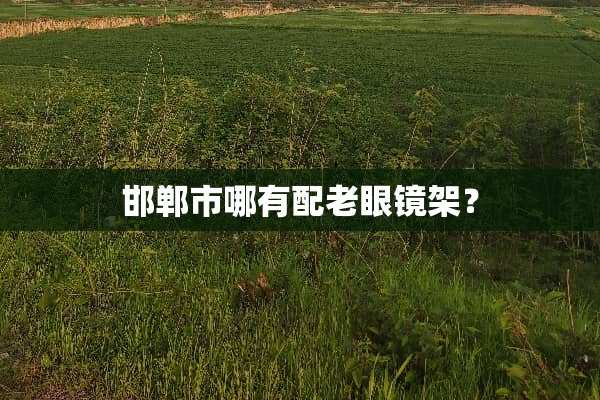 邯郸市哪有配老眼镜架？