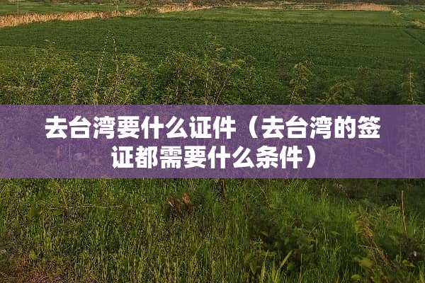 去台湾要什么证件（去台湾的签证都需要什么条件）