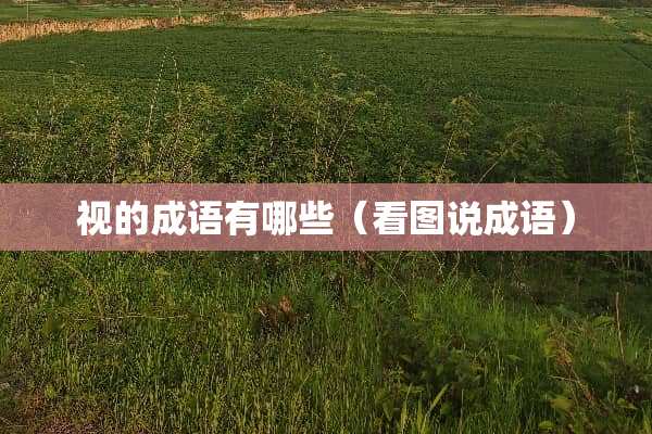 视的成语有哪些（看图说成语）