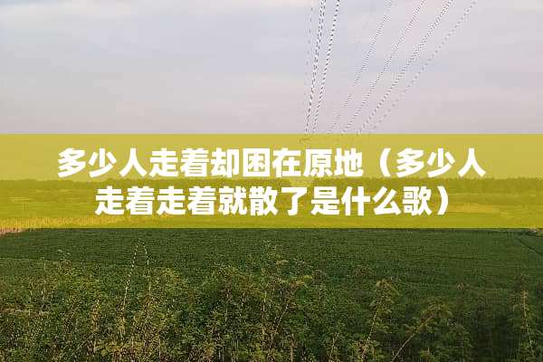 多少人走着却困在原地（多少人走着走着就散了是什么歌）
