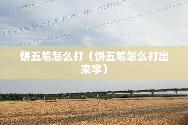饼五笔怎么打（饼五笔怎么打出来字）