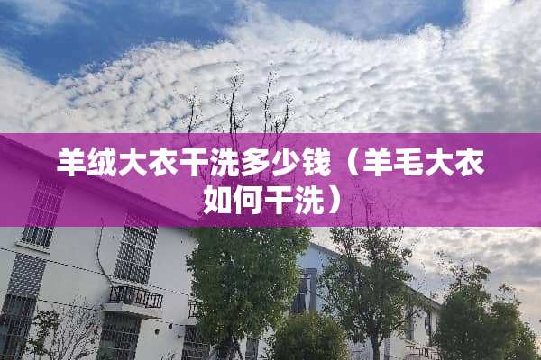 羊绒大衣干洗多少钱（羊毛大衣如何干洗）