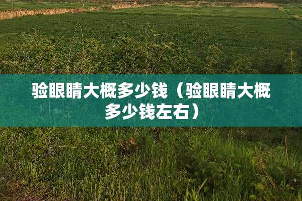 验眼睛大概多少钱（验眼睛大概多少钱左右）