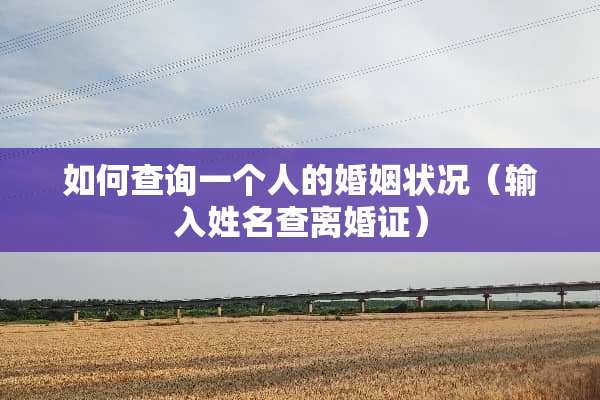 如何查询一个人的婚姻状况（输入姓名查**证）