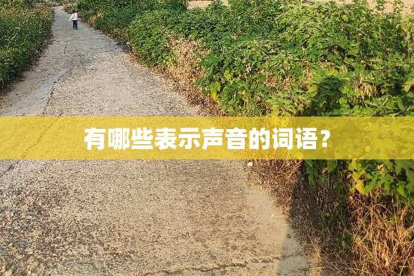 有哪些表示声音的词语？