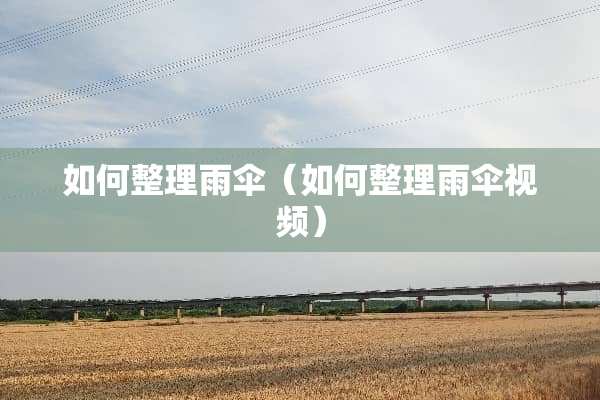 如何整理雨伞（如何整理雨伞视频）