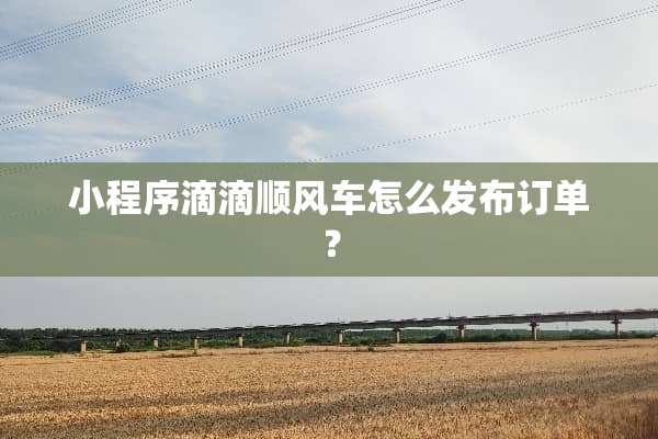 小程序滴滴顺风车怎么发布订单？