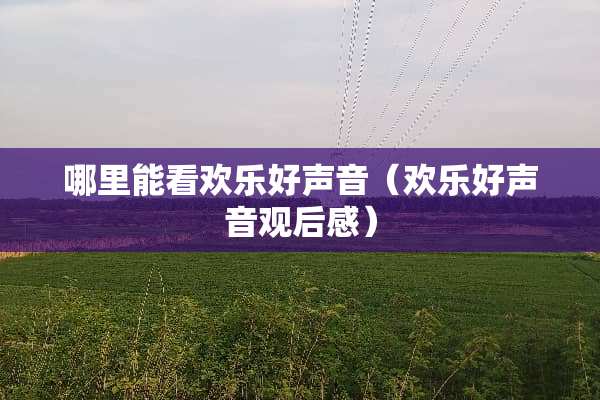 哪里能看欢乐好声音（欢乐好声音观后感）