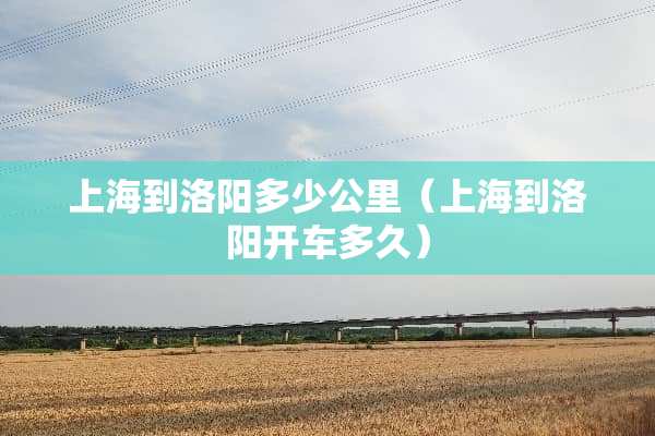 上海到洛阳多少公里（上海到洛阳开车多久）
