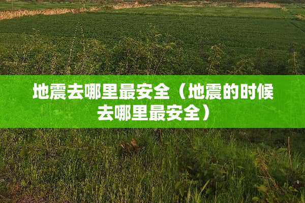 地震去哪里最安全（地震的时候去哪里最安全）