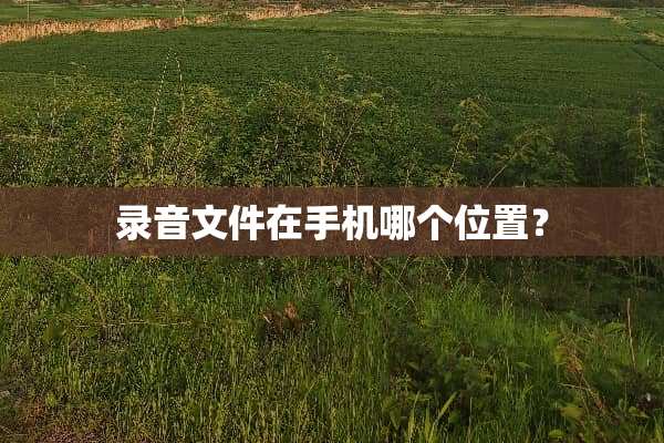 录音文件在手机哪个位置？