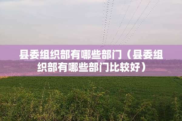 县委组织部有哪些部门（县委组织部有哪些部门比较好）