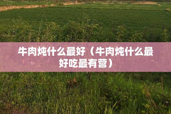 牛肉炖什么最好（牛肉炖什么最好吃最有营）
