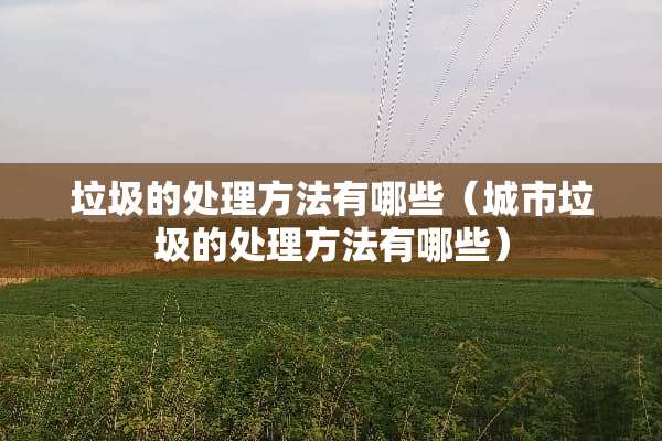 垃圾的处理方法有哪些（城市垃圾的处理方法有哪些）