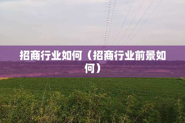 招商行业如何（招商行业前景如何）
