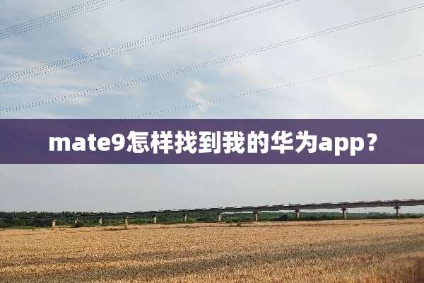 mate9怎样找到我的华为app？