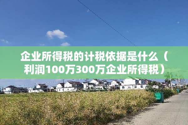 企业所得税的计税依据是什么（利润100万300万企业所得税）