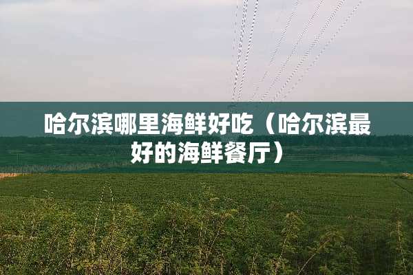 哈尔滨哪里海鲜好吃（哈尔滨最好的海鲜餐厅）