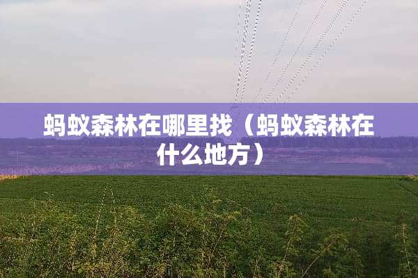 蚂蚁森林在哪里找（蚂蚁森林在什么地方）