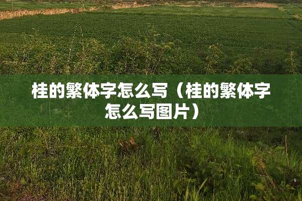 桂的繁体字怎么写（桂的繁体字怎么写图片）