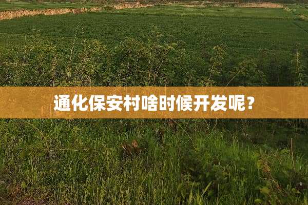 通化保安村啥时候开发呢？