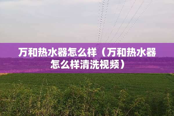 万和热水器怎么样（万和热水器怎么样清洗视频）