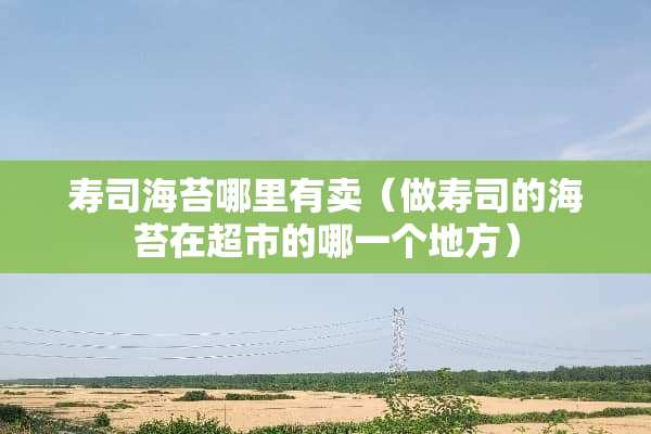 寿司海苔哪里有卖（做寿司的海苔在超市的哪一个地方）