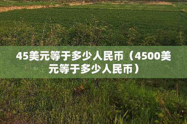 45美元等于多少人民币（4500美元等于多少人民币）